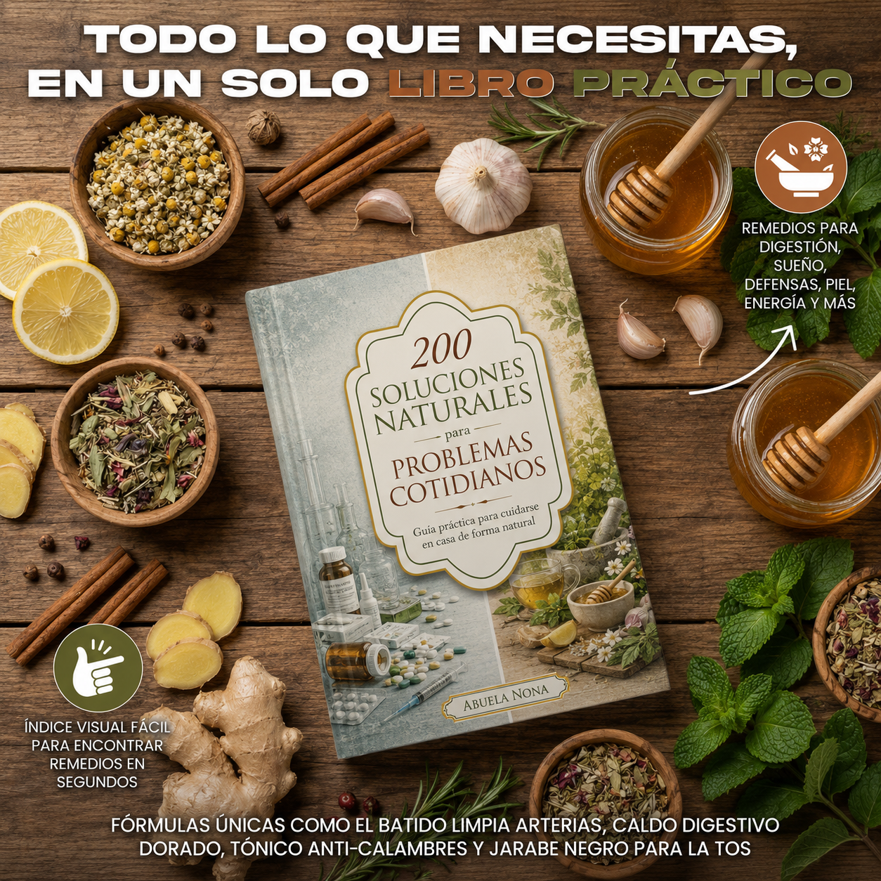 200 Soluciones Naturales para Problemas Cotidianos